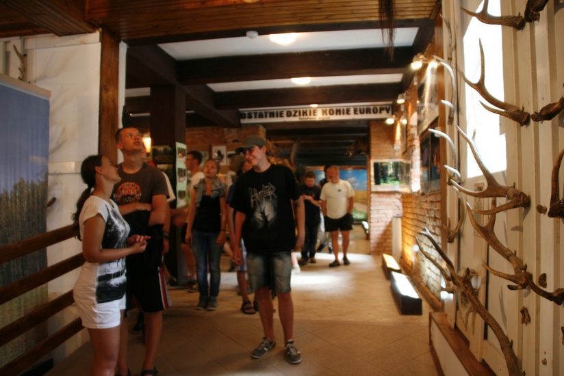 Muzeum przyrodnicze Stacji znajduje się w zabytkowych spichlerzu z XVIII wieku