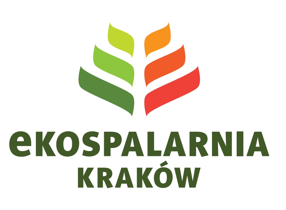 Logo Małopolska V RGB